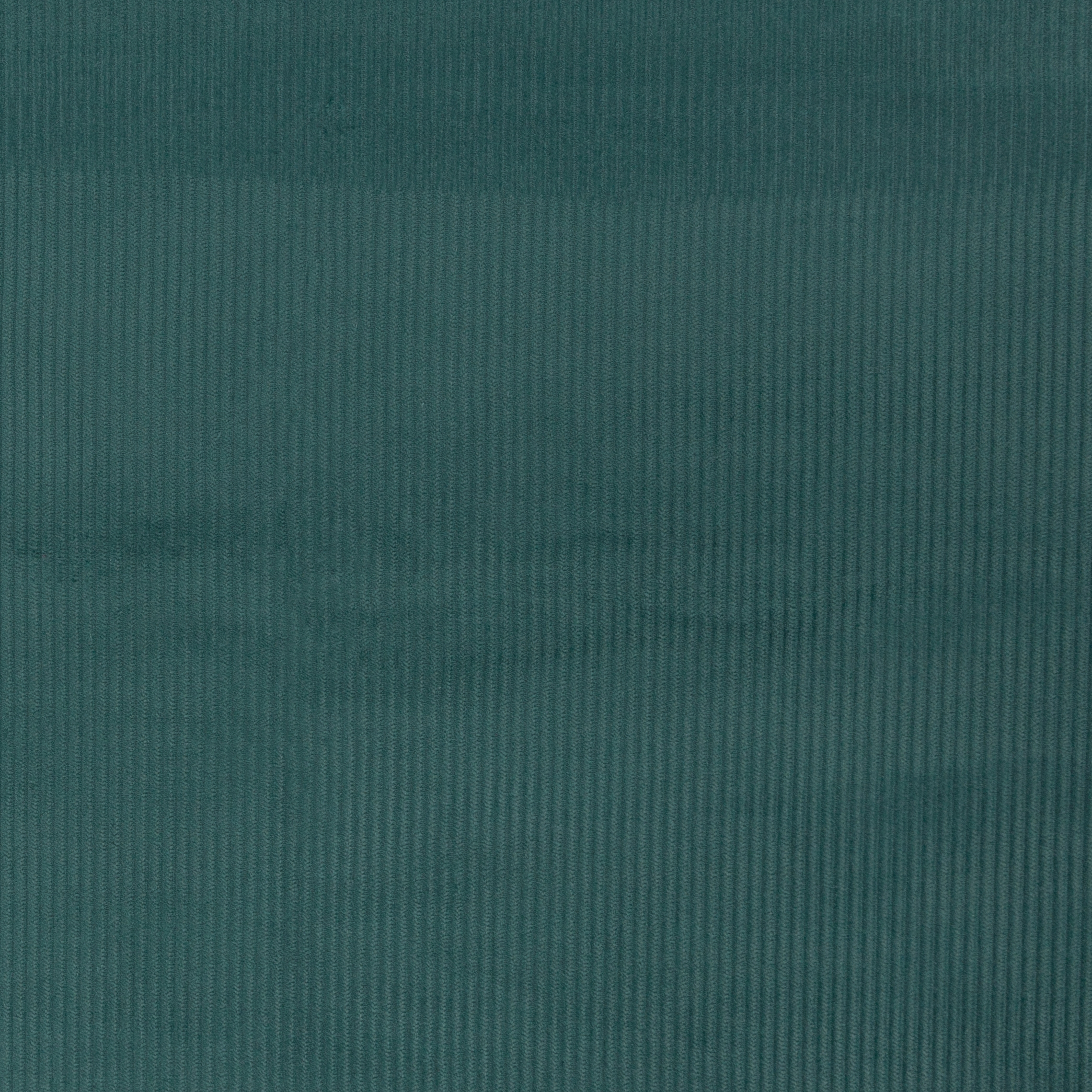 Breitcord in smaragd von  Swafing