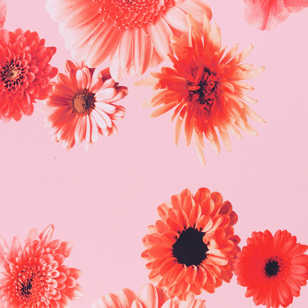 Baumwollstoff Satin Tinted Flowers by Cherry Picking - Swafing - rot Baumwollstoff Satin Tinted Flowers by Cherry Picking - Swafing - rot